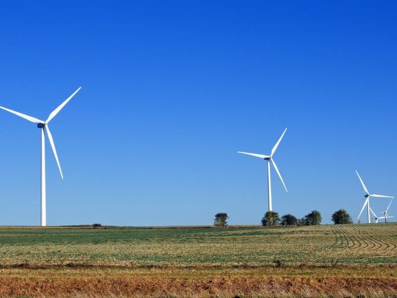Windfarm in Texas